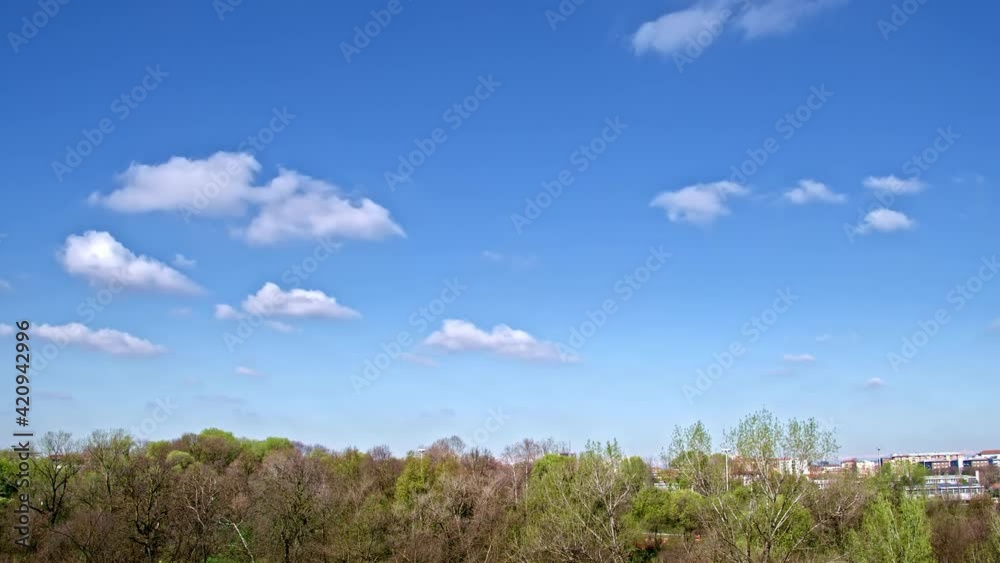 Changing white clouds in blue sky, winter trees in foreground Changing white clouds in blue sky, winter trees in foreground
