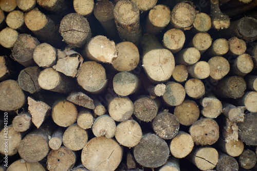 a pile of dry firewood. a collection of firewood with a round shape. ingredients for cooking or lighting a fire