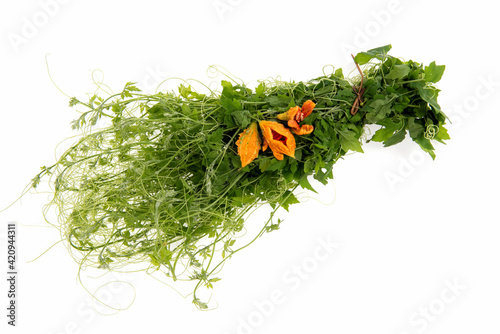 Bitter gourd green leaves and fruits isolated on white background,top view ,flat lay. photo