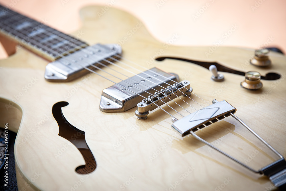 Naklejka premium epiphone casino