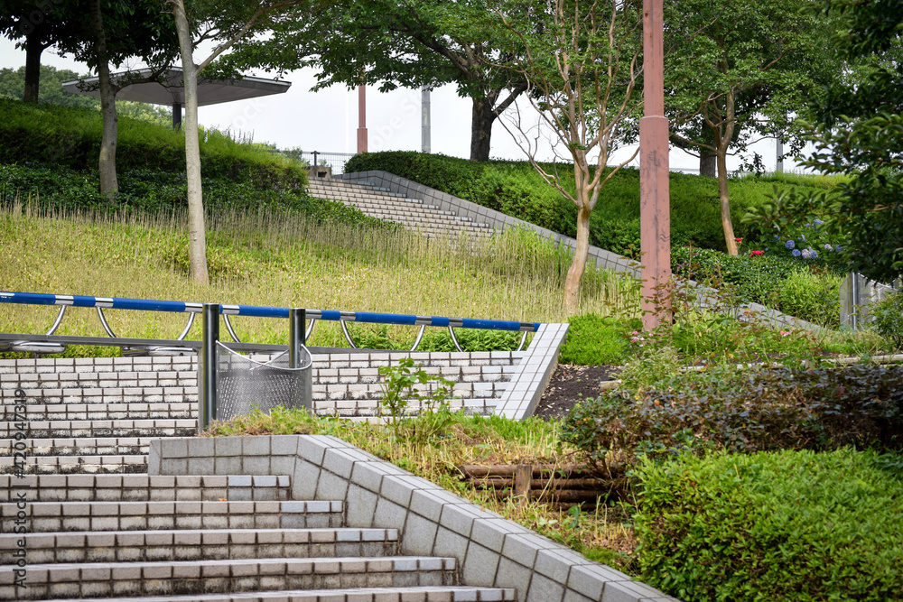大学校庭 大学校庭