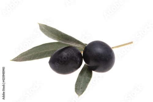 olives on a branch isolated