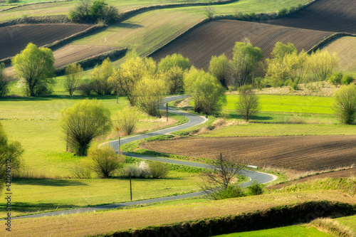Beautiful spring rural landscape with green fields