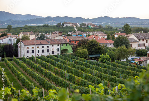Picturesque hills with vineyards of the Prosecco sparkling wine region in Valdobbiadene  Italy.