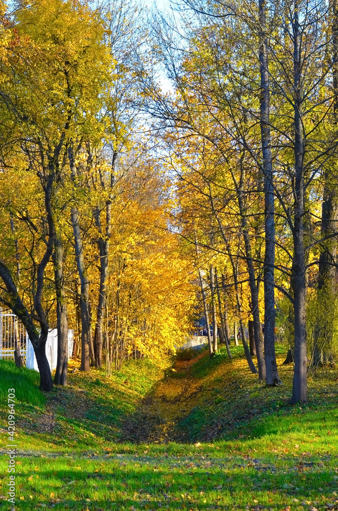 Golden fall in Alexander park, Pushkin (Tsarskoe Selo), Saint Petersburg, Russia