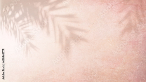 Shadow of palm leaves on pink wall with a beautiful plaster texture.