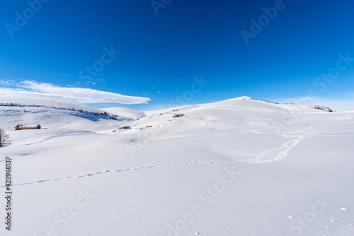 Altopiano della Lessinia. Lessinia Plateau in winter with snow, Regional Natural Park, near Malga Gaibana and Malga San Giorgio, ski resort, Bosco Chiesanuova, Verona Province, Veneto, Italy, Europe. © Alberto Masnovo