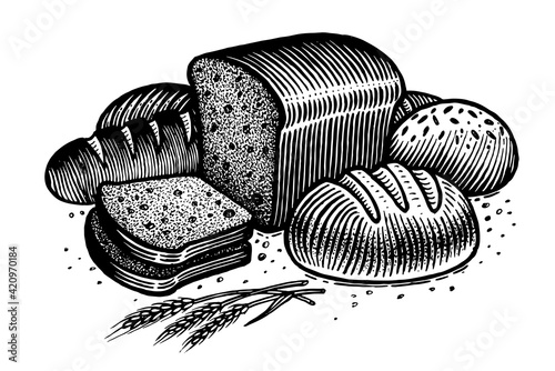 Bread, vector illustration. Vintage graphics and handwork. The rye bread, sliced, loaf, spikelets and grains, round bread, sprinkled with flour and bran. A collection of farm products.