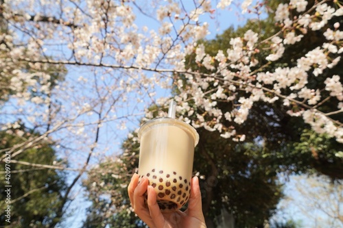 Wallpaper Mural タピオカミルクティーと桜の花 Torontodigital.ca