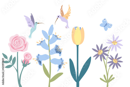 Abstract flower, rose, bell, tulip, lilac chamomile. Flying little colibri and butterfly on white background, isolated. Cartoon style.