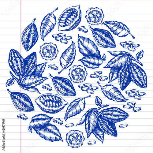 Cocoa beans illustration. Engraved style, illustration, drawn by pen . Chocolate cocoa beans. Vector pattern illustration