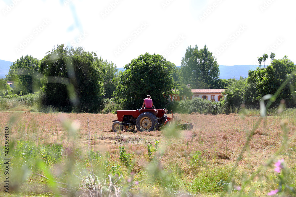 Obraz premium a man plowing the field with the tractor