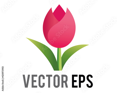 Vector pink tulip flower icon with green stem and leaves