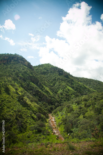 landscape with trees, La sierra Tarahumara, México