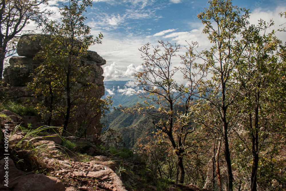 view from the top of mountain in Barrancas del Cobre, la Sierra Tarahumara, México view from the top of mountain in Barrancas del Cobre, la Sierra Tarahumara, México