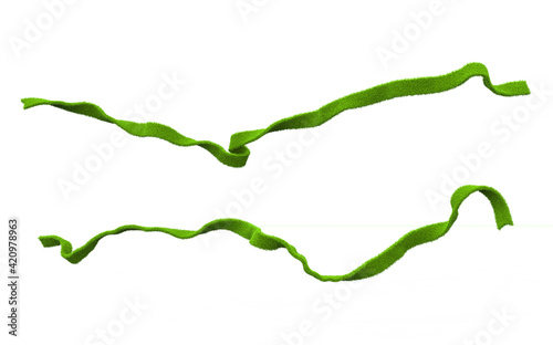 Fresh juicy green ribbons covered with spring grass. Can be used to decorate frames, designs, books and as clipart elements for your work. Clip art elements 3d illustration