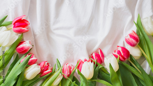 Fototapeta Naklejka Na Ścianę i Meble -  Pink and white Tulips isolated on white cloth background with copy space. Flat lay, top view. Minimal floral mock up concept. Valentine's Day, Easter, Birthday, Happy Women's Day concept