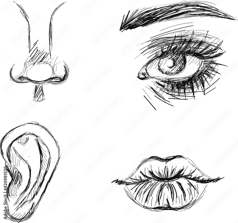 Lesson 13 I How to Draw a Nose - Lillian Gray - Art School