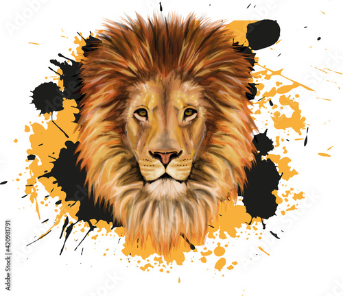Lion. Wild animal portrait. Original graphic portrait of wild cat