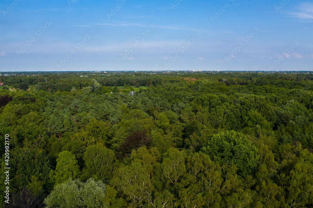 Aerial view of a forest, in Belsele (Sint-Niklaas), Belgium