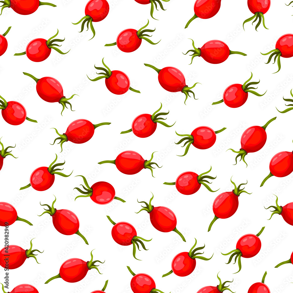 Vector seamless pattern with rosehip berries. Vector illustration. Illustration on theme big colored seamless rose hip, bright berry pattern for seal. . Vector illustration Vector seamless pattern with rosehip berries. Vector illustration. Illustration on theme big colored seamless rose hip, bright berry pattern for seal. . Vector illustration