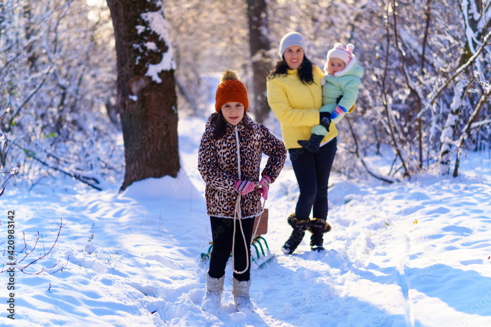 family walks in the winter forest, mother and children, bright sunlight and shadows on the snow, beautiful nature