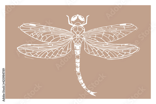 Sketch dragonfly silhouette stencil for decoration design print laser cut stamp. Vector paper art illustration. Vector paper cut card. Graphic element. Contour symbol.