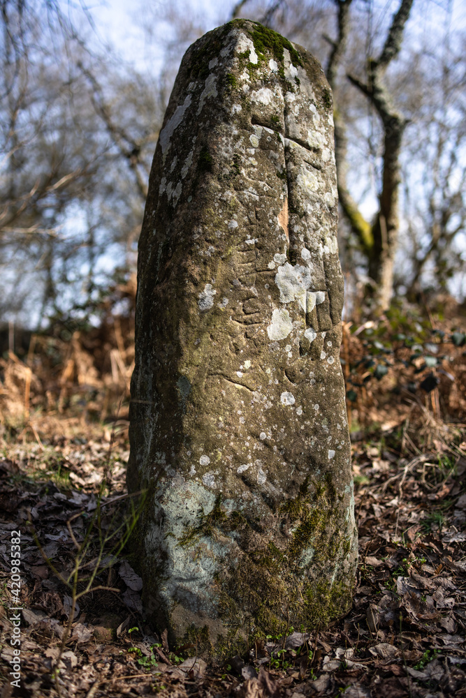 Keltischer Menhir bei Bann