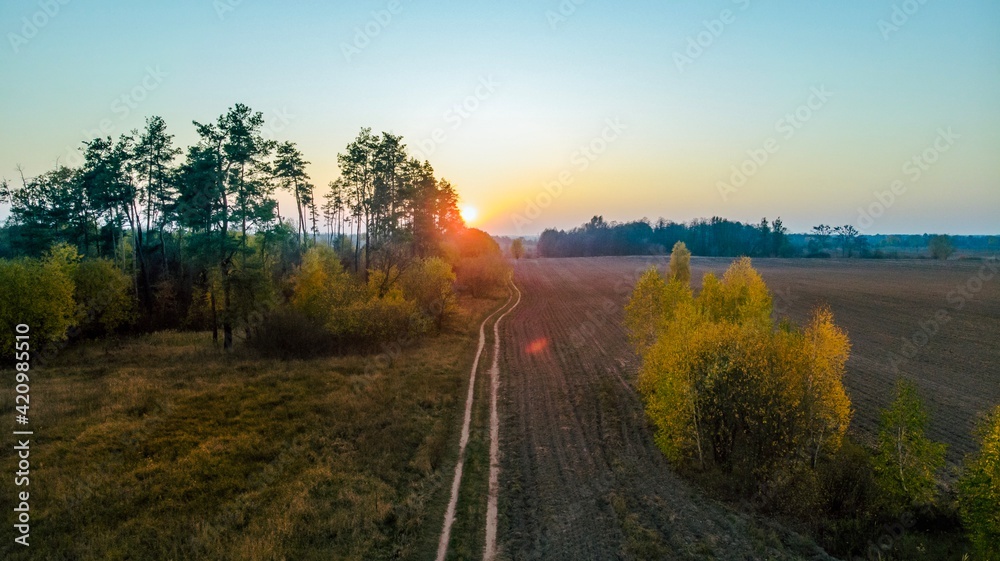 sunrise in the forest