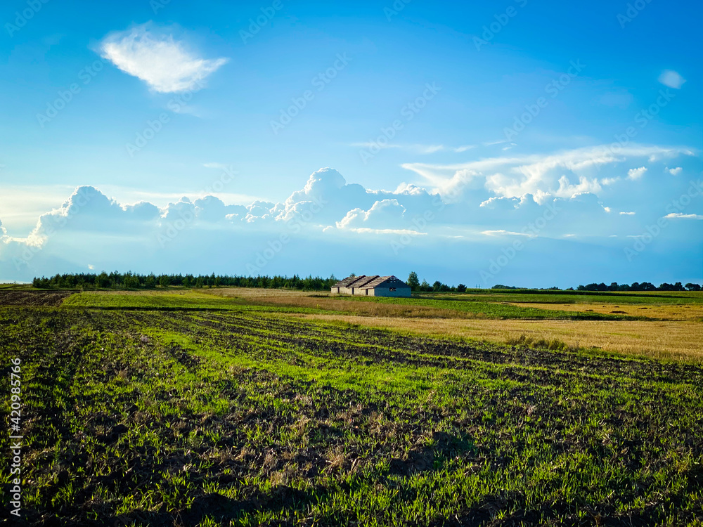 field and blue sky