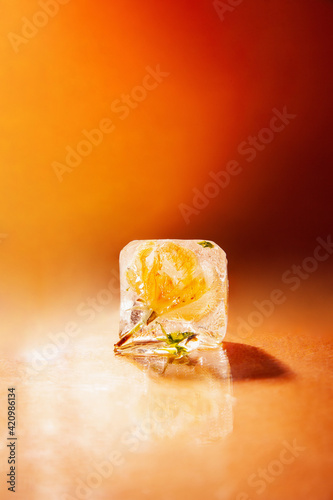 Ice cube with flower bud on table