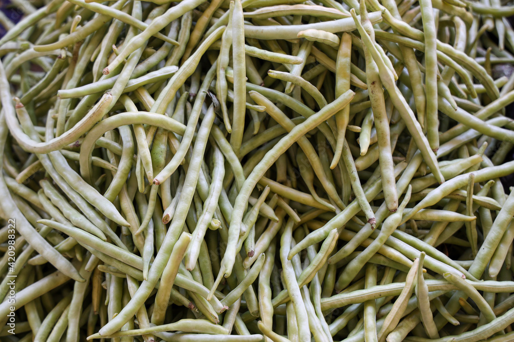 background fresh black eyed peas background fresh black eyed peas