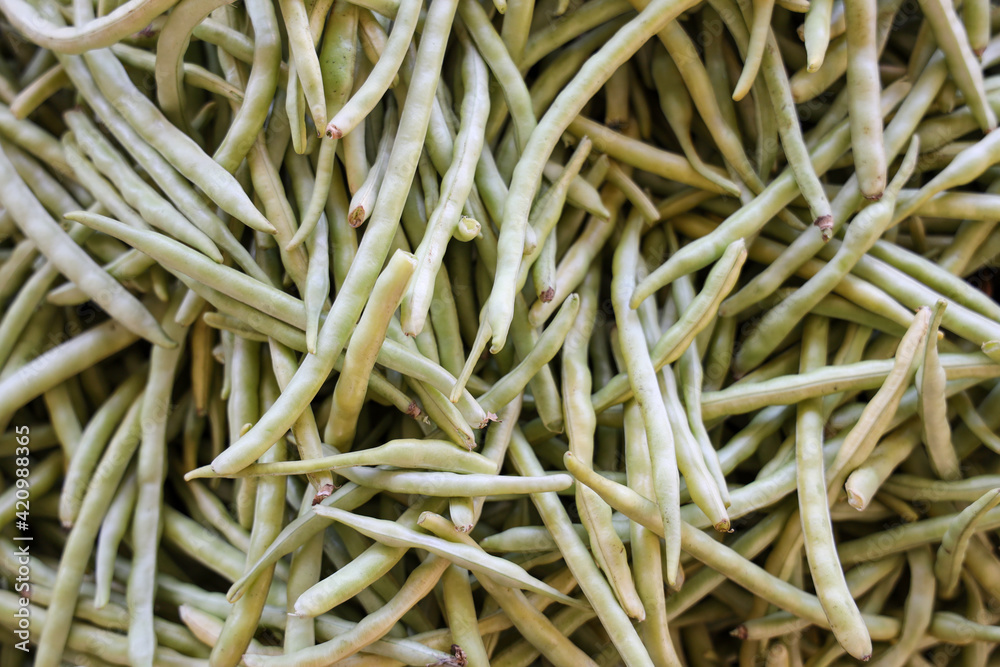 background fresh black eyed peas background fresh black eyed peas
