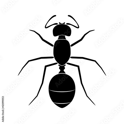 Ant insect icon isolated on white, vector illustration