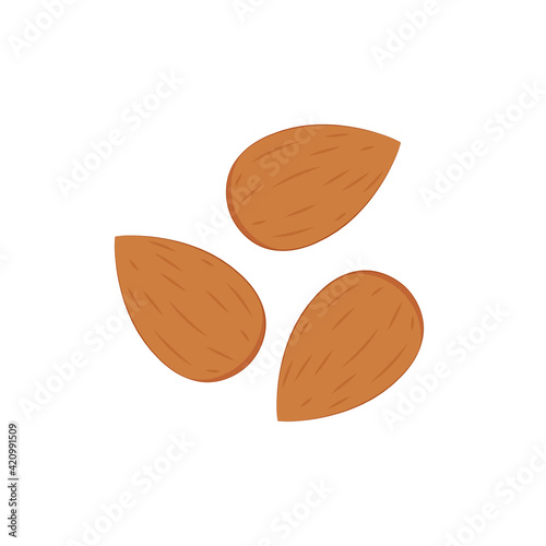 Almond vector. Almond on white background.