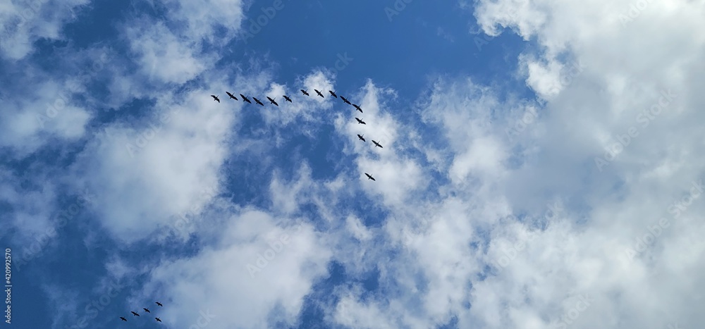 clouds in the sky clouds in the sky
