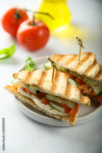 Grilled sandwich with tomato and cucumber
