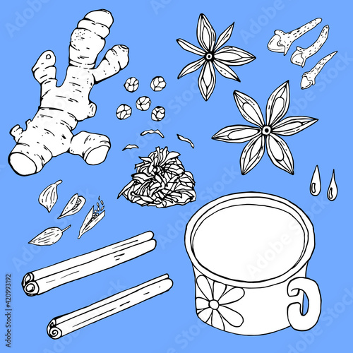 Vector graphics of Indian masala tea recipe on blue background. Milk, water drops, cardamom, star anise, cinnamon, peppercorns, ginger, black tea, cloves black and white contour illustration.