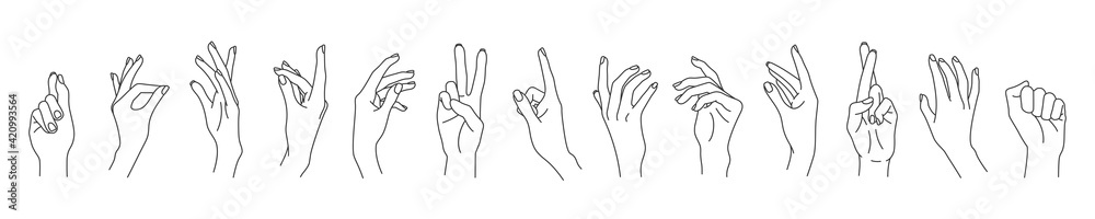 Set of linear vector woman hands isolated on white background. Female hands collection of different elegant gestures. Line art for logo design, trendy minimal style. Set of linear vector woman hands isolated on white background. Female hands collection of different elegant gestures. Line art for logo design, trendy minimal style.