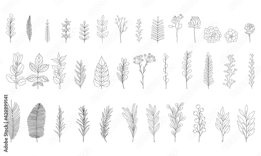A set of 37 hand-drawn twigs with leaves. Doodle style. Botanical, plant elements for design of postcards, invitations, creating patterned brushes. Isolated on white. Black-white vector illustration. A set of 37 hand-drawn twigs with leaves. Doodle style. Botanical, plant elements for design of postcards, invitations, creating patterned brushes. Isolated on white. Black-white vector illustration.