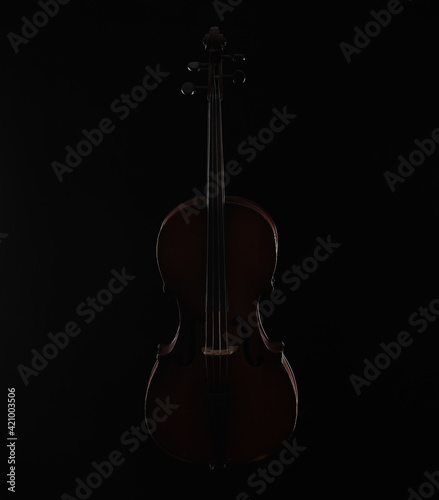 silhouette violin isolated on black background