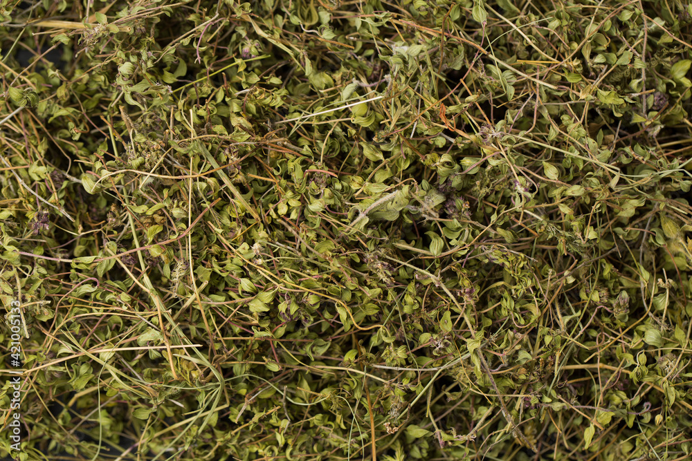 Dried Thyme on black background in studio