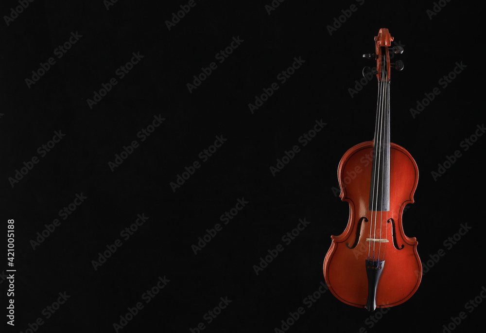 violin isolated on black background violin isolated on black background