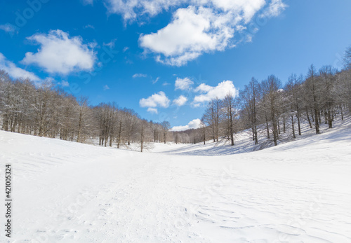Campaegli of "Cervara di Roma" (Italy) - The snow capped mountains with forest in the province of Roma, Lazio region, in Simbruini mounts. Here a white landscape. © ValerioMei