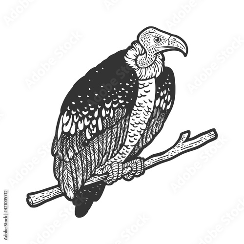 vulture griffin bird sketch engraving vector illustration. T-shirt apparel print design. Scratch board imitation. Black and white hand drawn image.