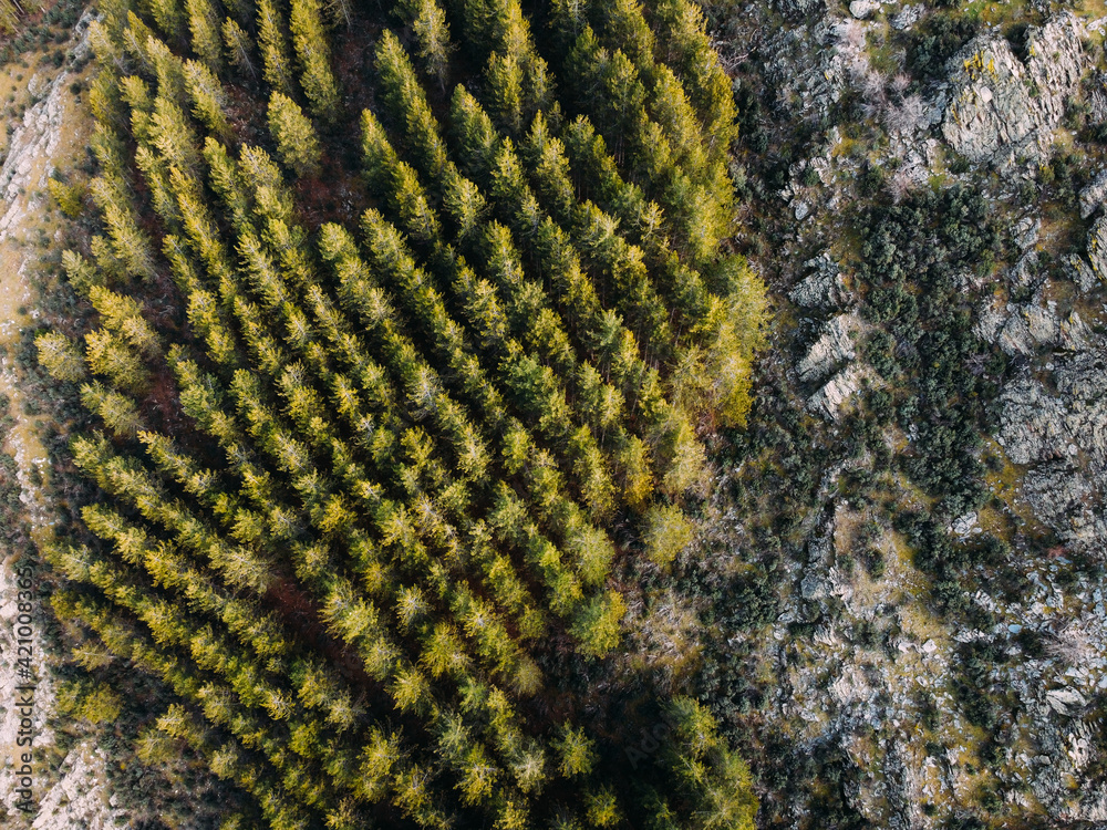 Aerial landscape photography. Sierra del Rincon, Madrid. Picturesque morning view from flying drone. Traveling concept background. Aerial landscape photography. Sierra del Rincon, Madrid. Picturesque morning view from flying drone. Traveling concept background.
