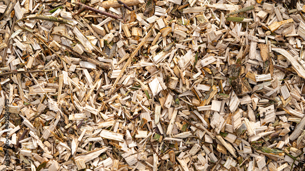 Wood chippings sawdust offcuts overhead view for natural textured backgrounds Wood chippings sawdust offcuts overhead view for natural textured backgrounds