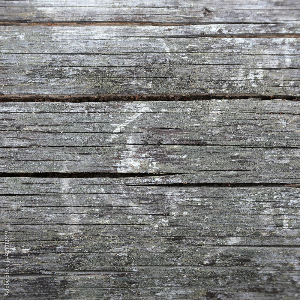 The surface of an old cracked board The surface of an old cracked board