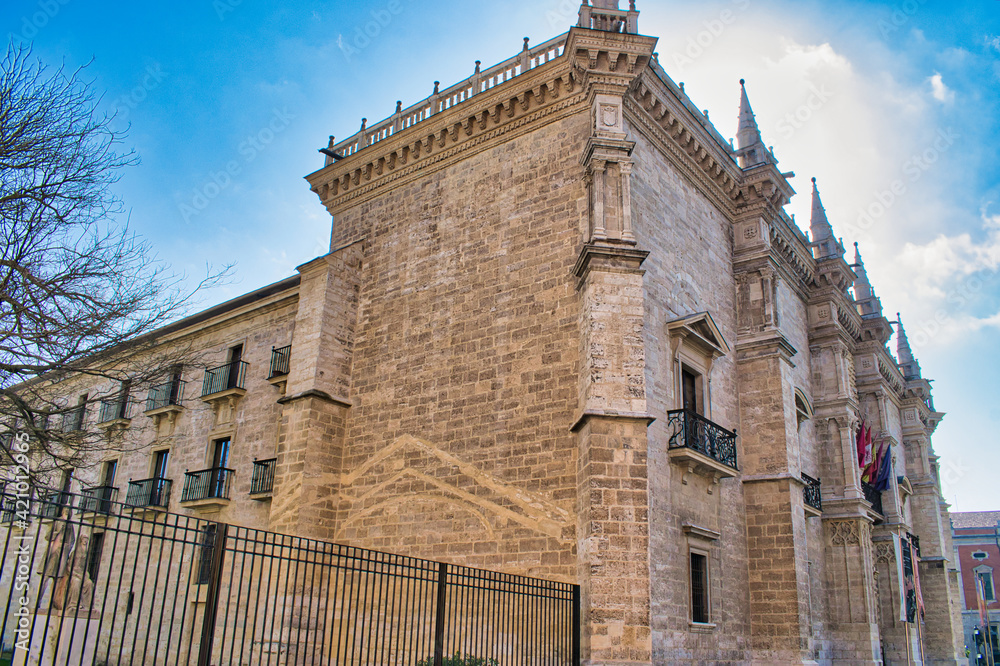 Perspectiva lateral del palacio Santa Cruz en Valladolid, de estilo renacentista