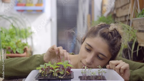 Woman watching germinated seeds in her balcony